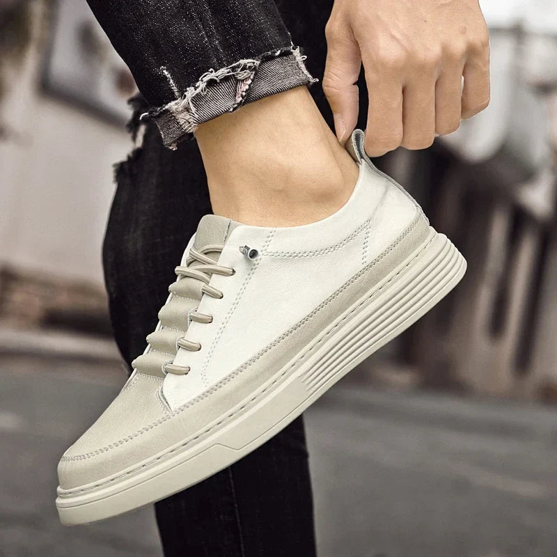 Friedrich | Leder Turnschuhe