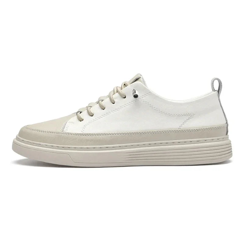 Friedrich | Leder Turnschuhe